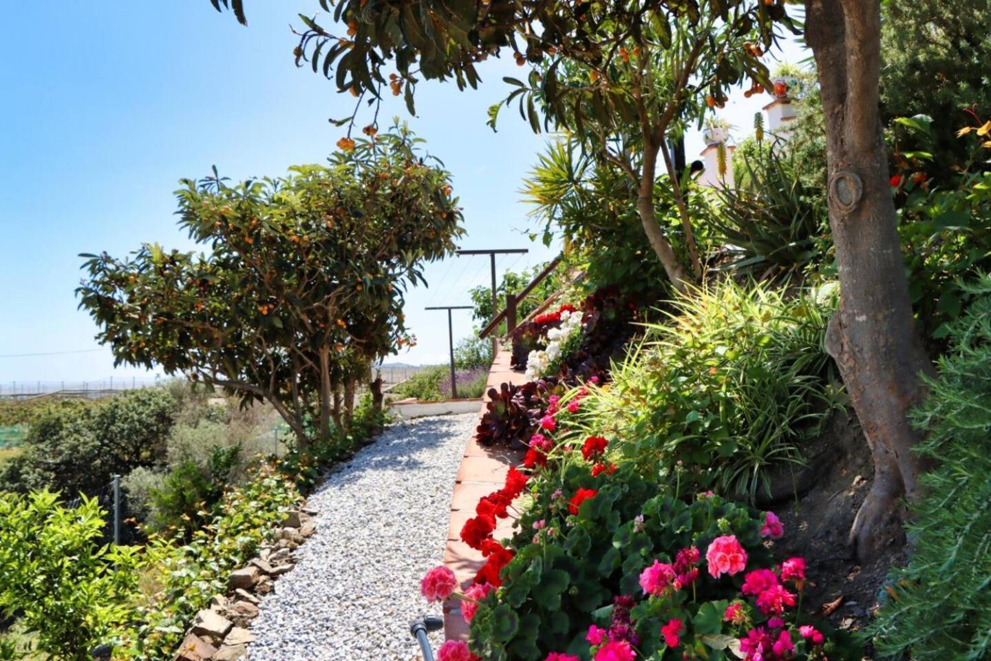 Casa Bambu Guest house Velez Malaga