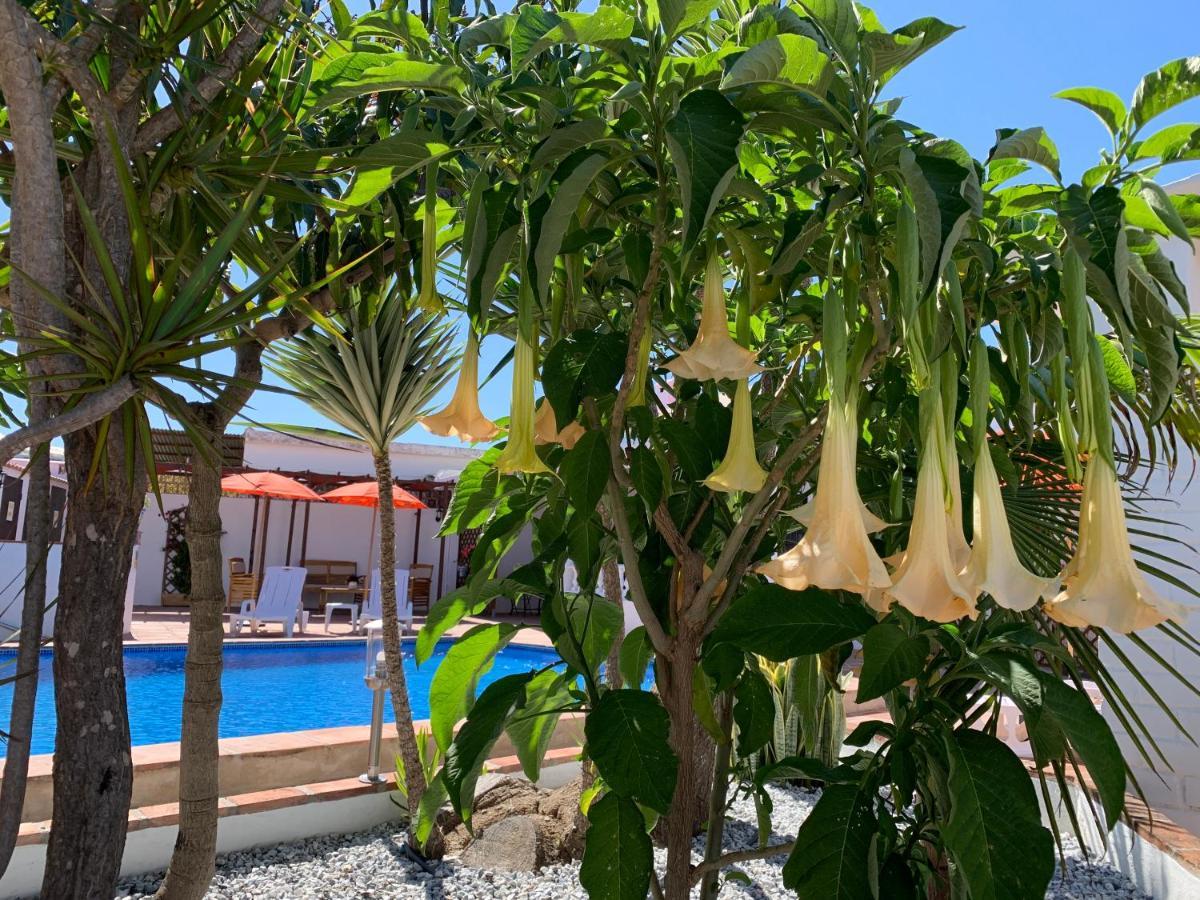Gasthuis Casa Bambu Velez Malaga